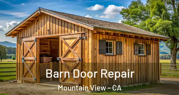  Barn Door Repair Mountain View - CA