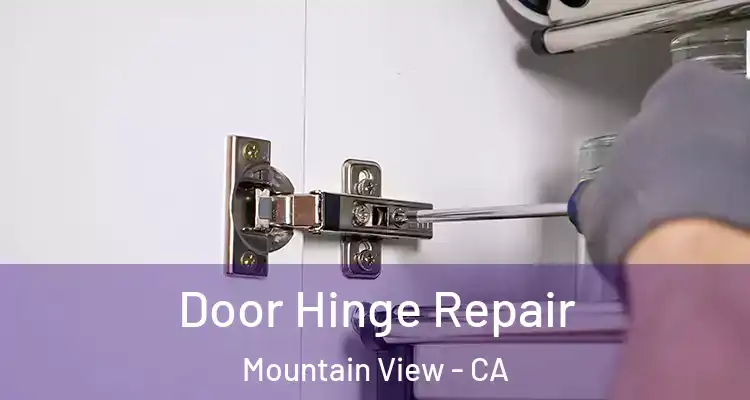  Door Hinge Repair Mountain View - CA