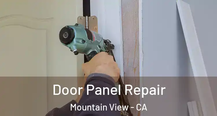  Door Panel Repair Mountain View - CA