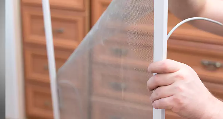 Privacy Mesh Screen Door Installation in Mountain View, CA