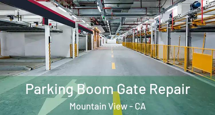  Parking Boom Gate Repair Mountain View - CA