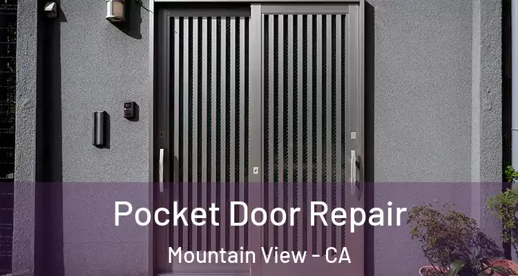  Pocket Door Repair Mountain View - CA