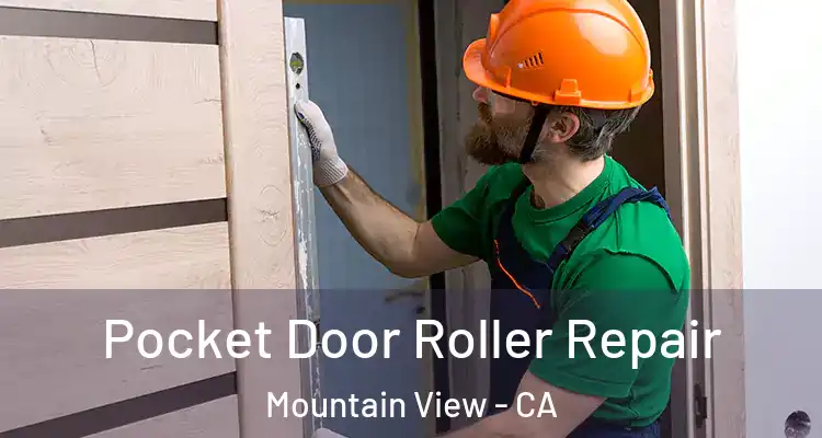  Pocket Door Roller Repair Mountain View - CA