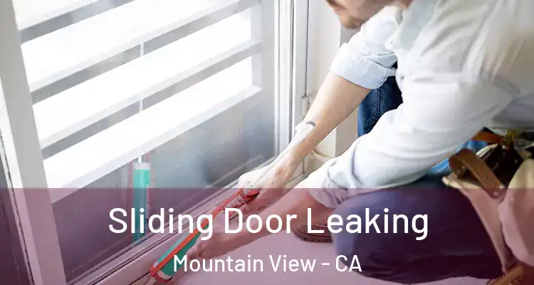  Sliding Door Leaking Mountain View - CA