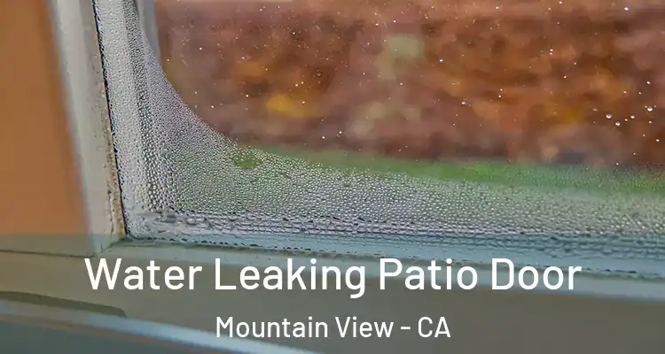  Water Leaking Patio Door Mountain View - CA